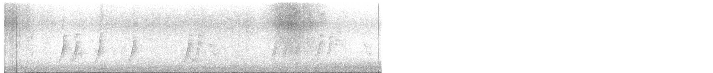 Moqueur à bec courbe - ML646587920