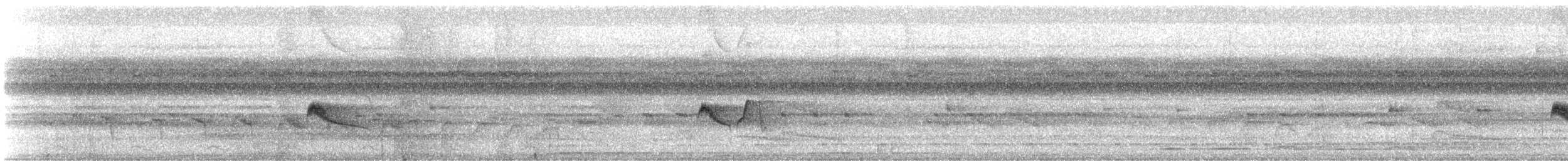 Euler's Flycatcher - ML646588206