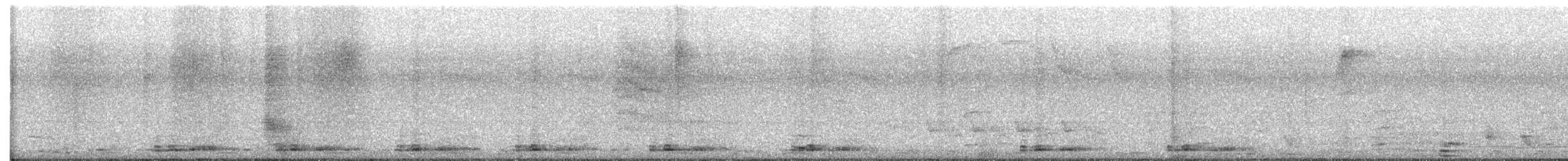 Turquoise-browed Motmot - ML646588331