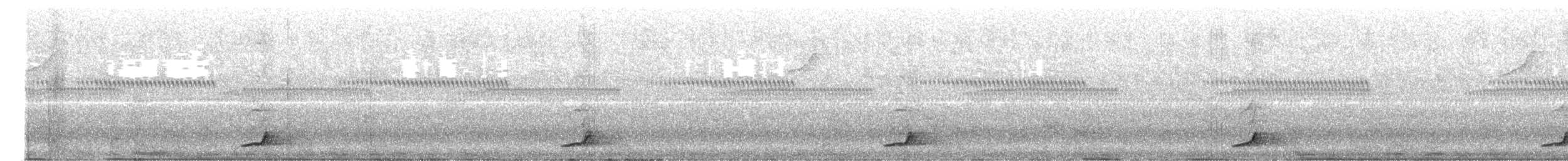 Little Friarbird - ML646588378