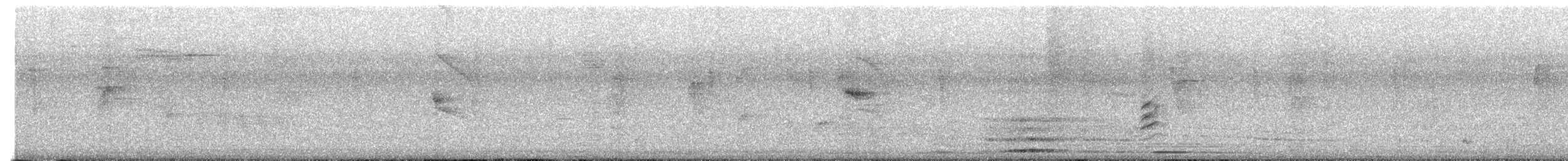 Baltimore Oriole - ML646588559