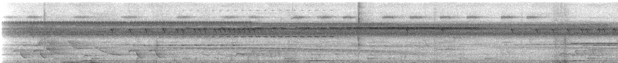 Dusky Antbird - ML646588579