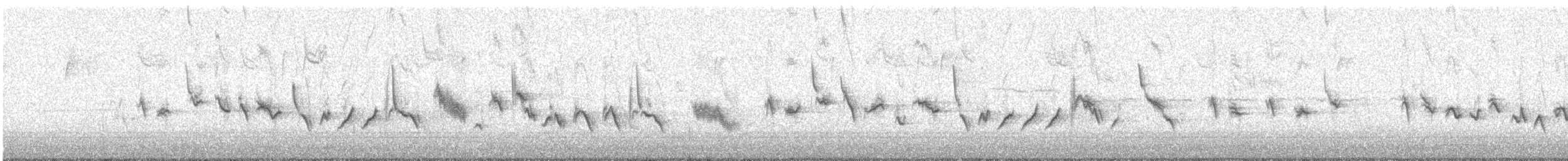 House Finch (Common) - ML646588883