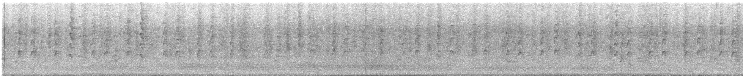 Western Cattle-Egret - ML646588959