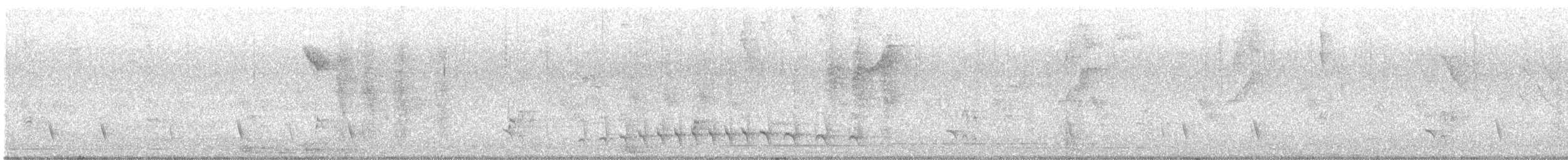 Large-billed Antwren - ML646588977