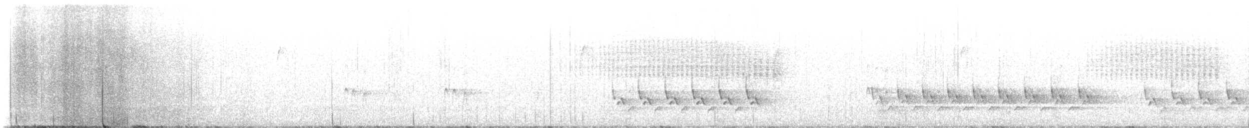 Carolina Wren - ML646589958