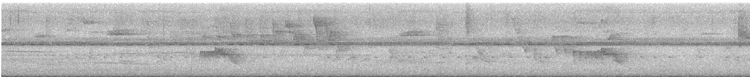 Москверо білогорлий - ML646590858