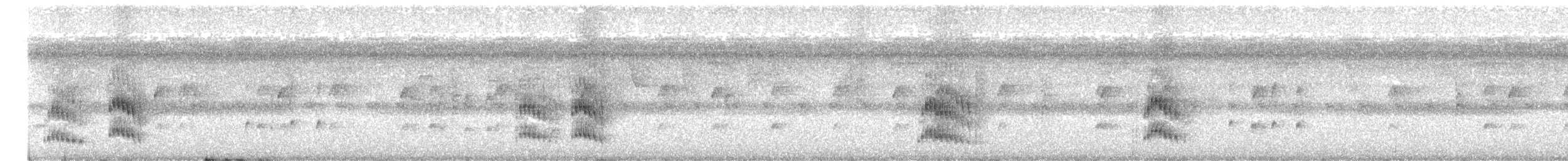 hvitskjeggmanakin - ML646591280