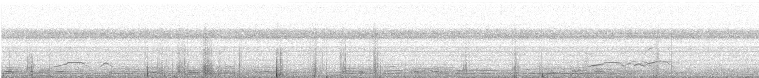 orientsnokørn - ML646591406