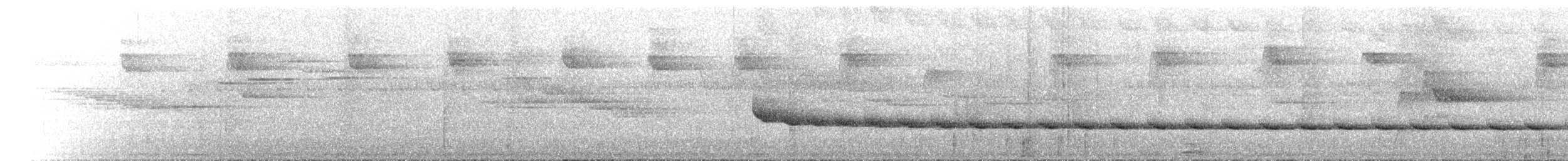 White-throated Treecreeper - ML646591510