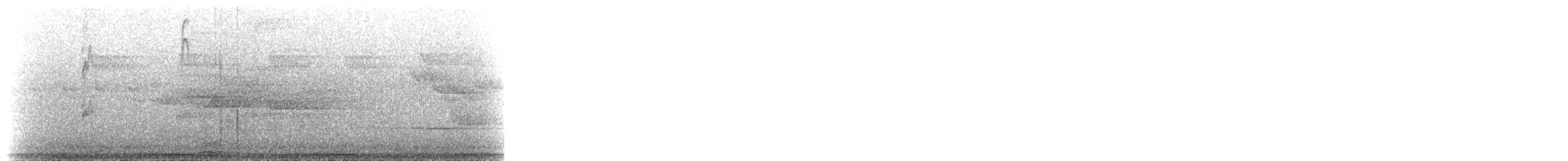 Topknot Pigeon - ML646591522