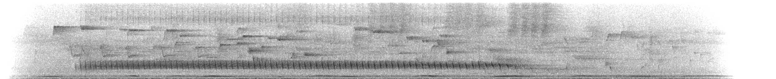 Lewin's Honeyeater - ML646591527