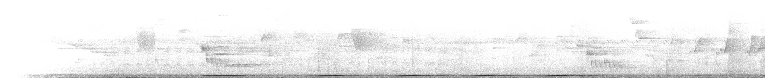 praktfruktdue - ML646591530