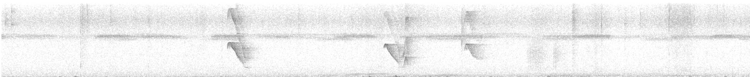 hvitkappemanakin - ML646591552