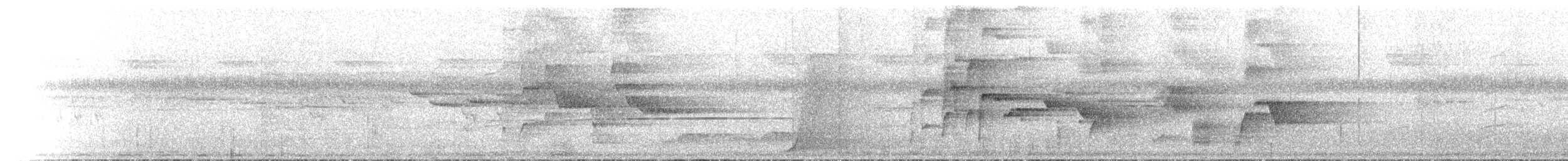 eungellahonningeter - ML646591560