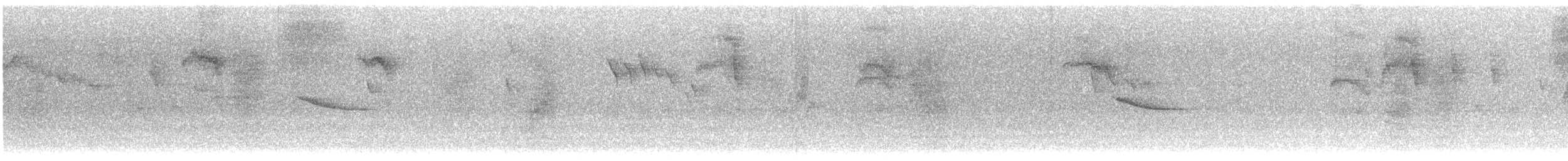 småstillits - ML646591571