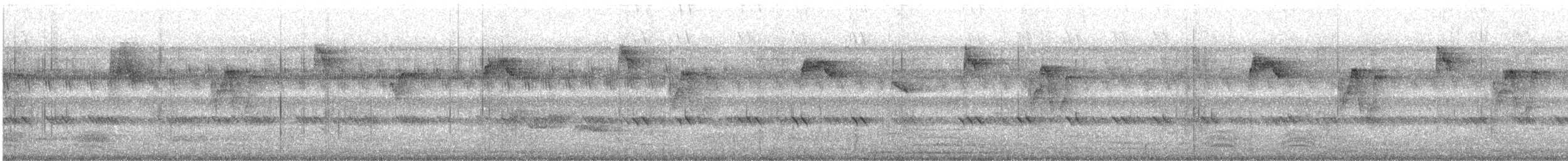 budníček zelený - ML646592134