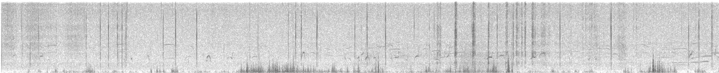 tenkozobec opačný - ML646592155