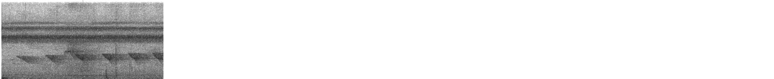 Bare-crowned Antbird - ML646592340