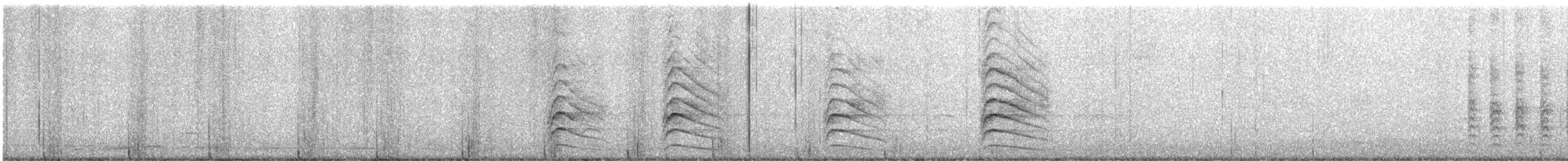 sojka chocholatá - ML646592357