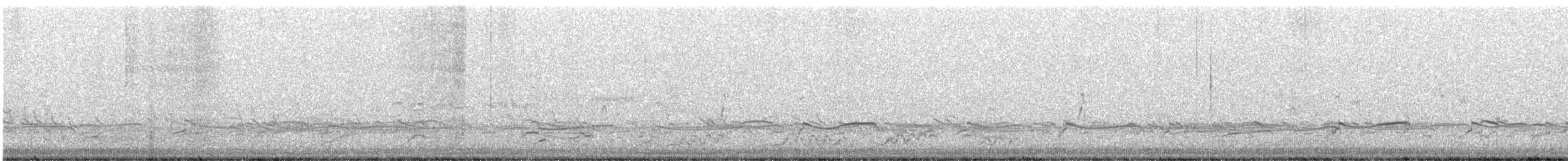 kulík bledý - ML646592483