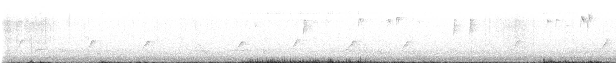 budníček menší - ML646592713