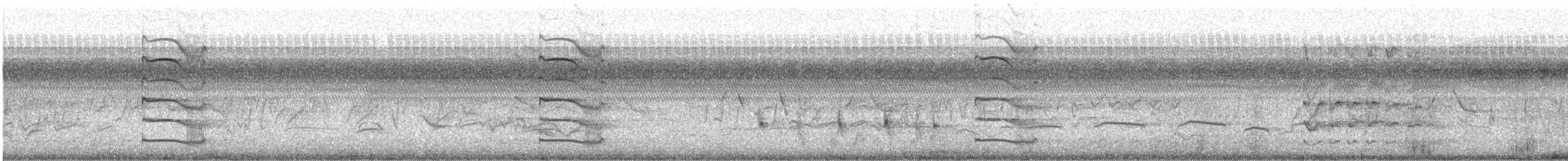 čejka indická - ML646593102