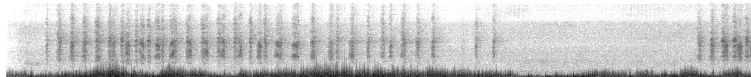Stripe-backed Wren - ML646593129