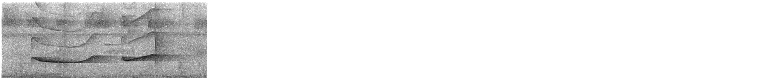 Russet-winged Schiffornis - ML646593193