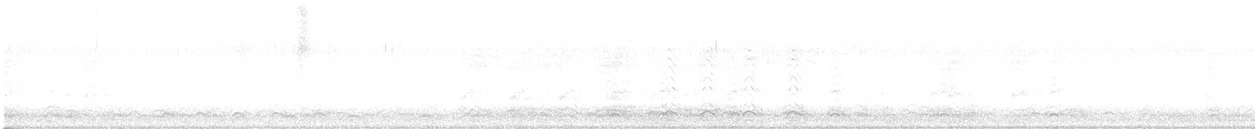 vrána americká - ML646593231