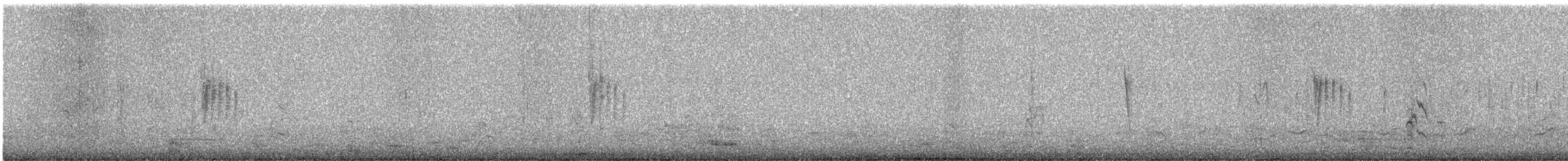 břehule indomalajská - ML646593272