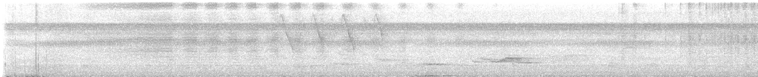 Zuckervogel - ML646594104