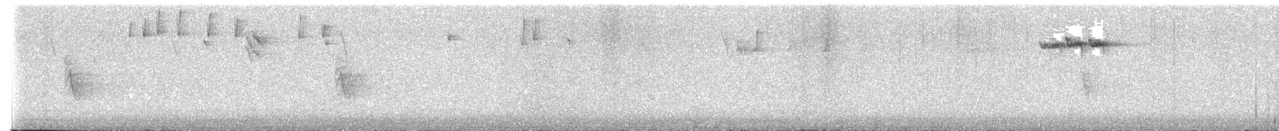 králíček obecný - ML646594283