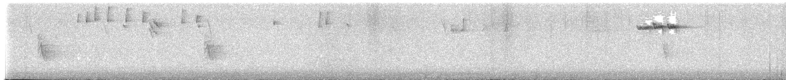 králíček obecný - ML646594346