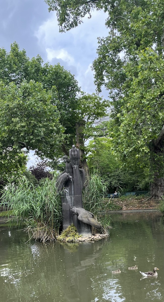 Graylag Goose - ML646594431