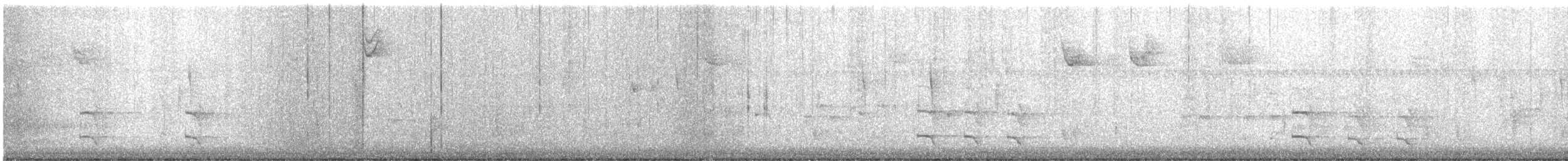 Carolinasumpfhuhn - ML646594579