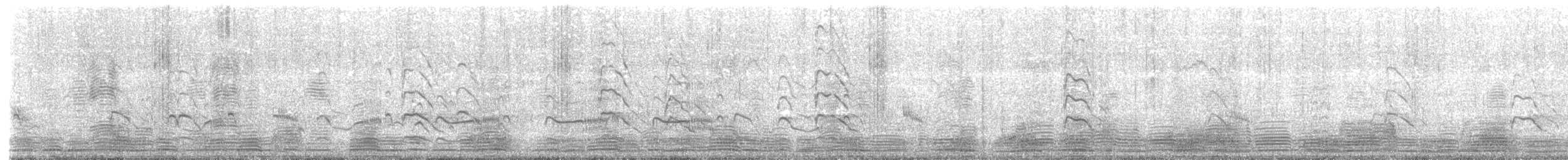 Streifengans - ML646594869