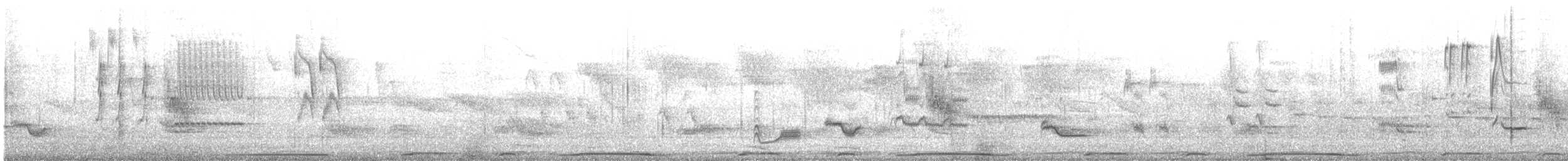 Rotbauchdrossel - ML646595792