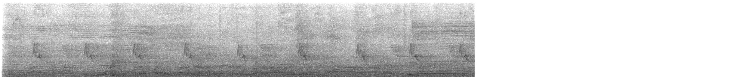 Haussperling - ML646596542