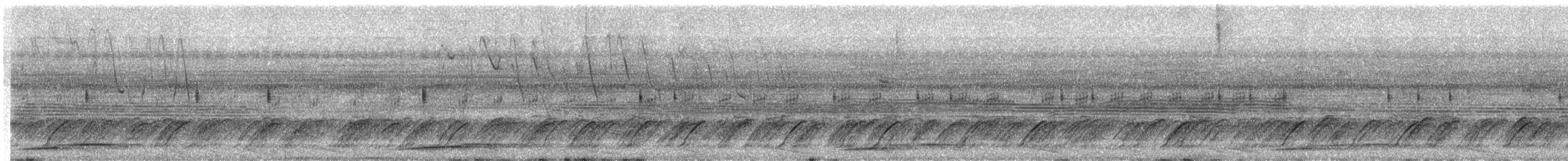 Spix's Guan - ML646596759