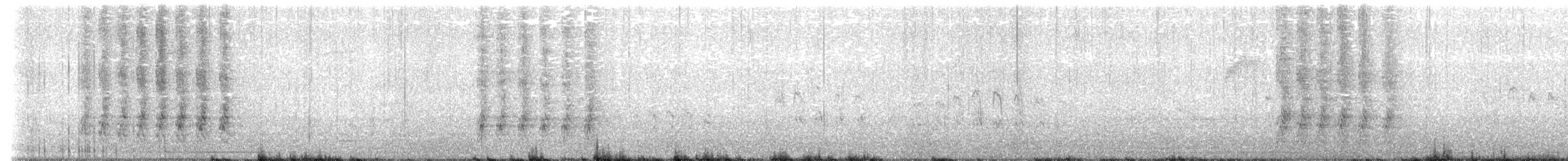 Chara de Steller - ML646597997