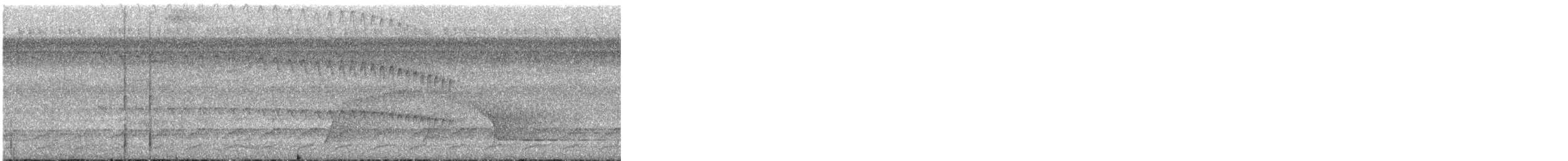 South American Leaftosser (Guianan) - ML646598119