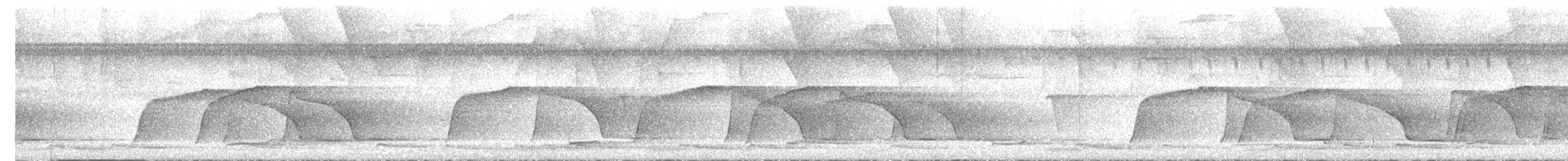 Screaming Piha - ML646598295