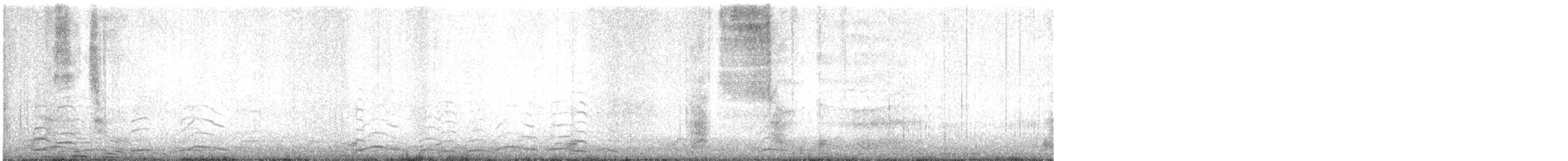 Tundra Swan - ML646598567