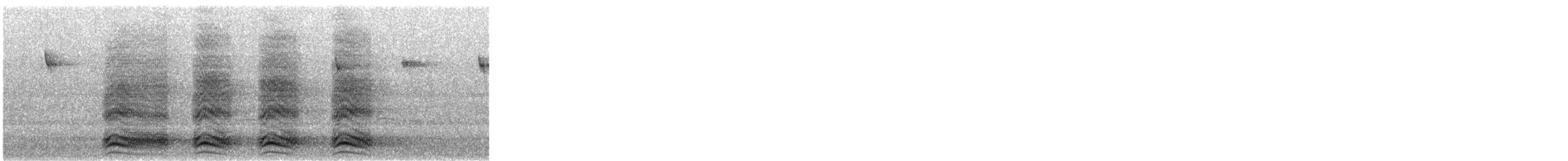 American Crow - ML646598765