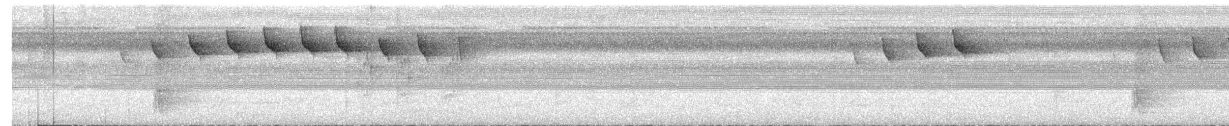 Speckled Spinetail - ML646598767