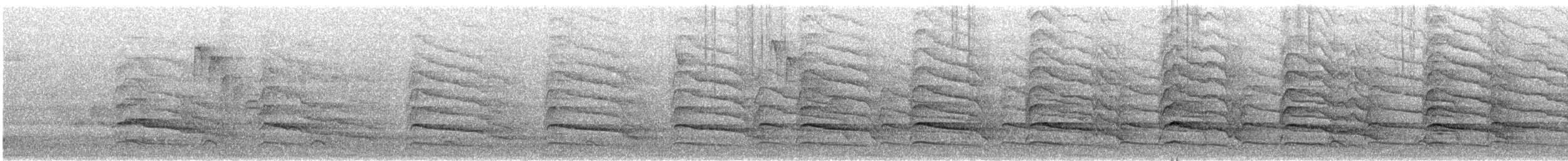 Red-shouldered Hawk - ML646598808