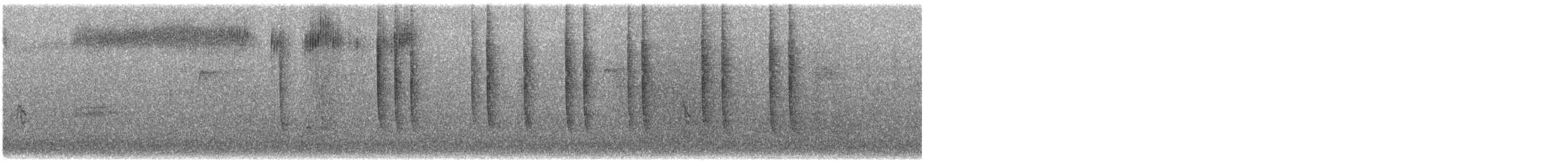 Rufous Hummingbird - ML646598846