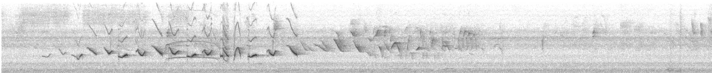 Gray Seedeater - ML646598883