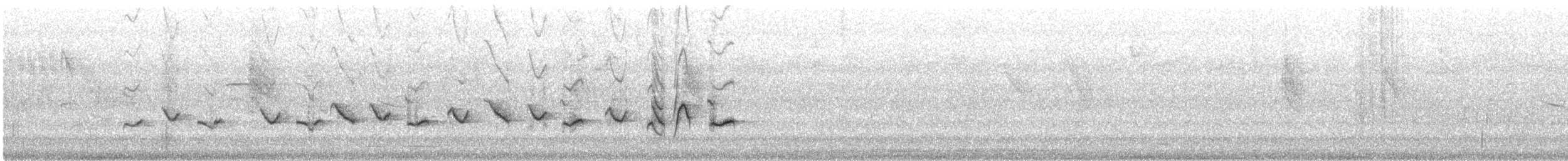 Gray Seedeater - ML646598884